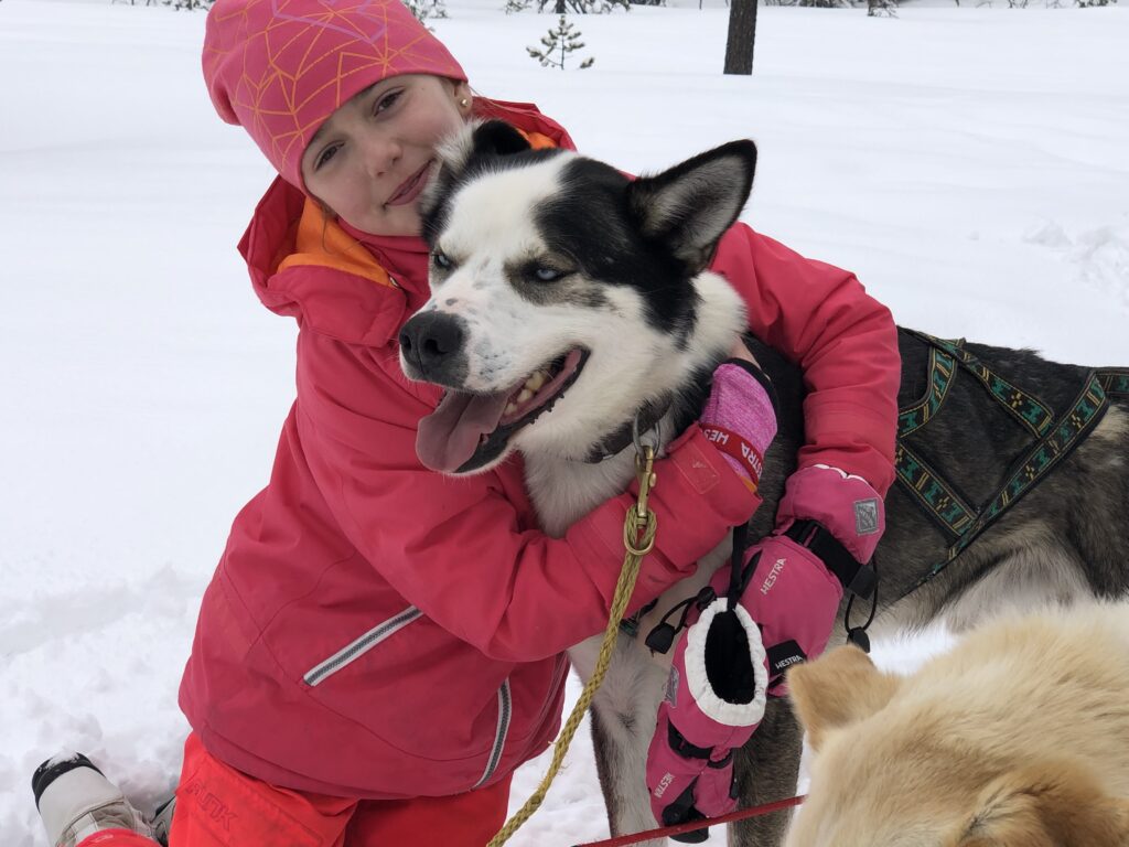 Prova på hundspann tur i Sälen